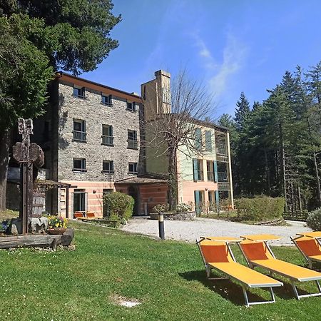 Il Bosco Di Campo Marzano Studios Borzonasca Luaran gambar