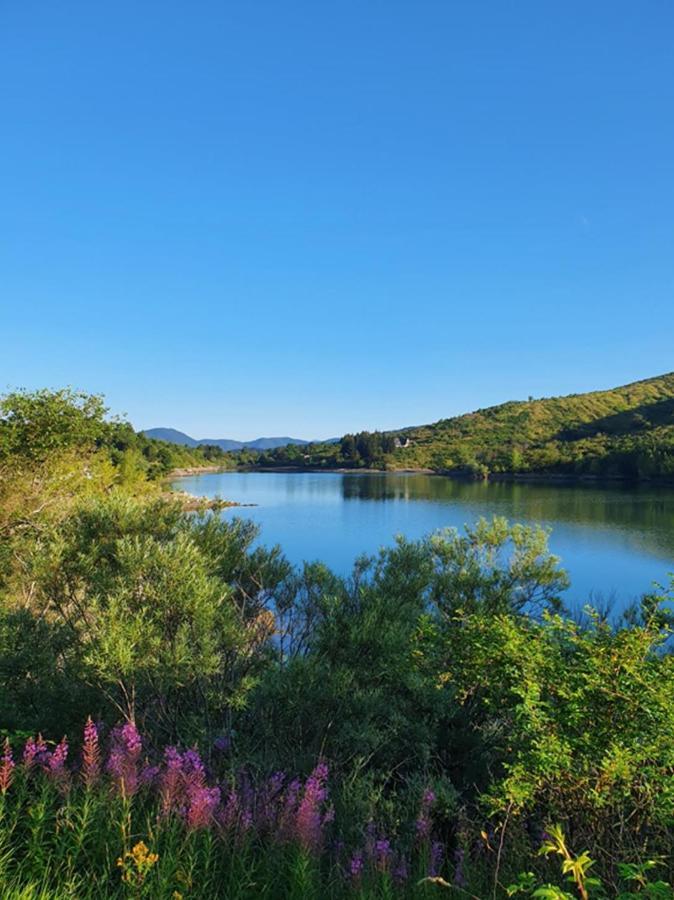Il Bosco Di Campo Marzano Studios Borzonasca Luaran gambar