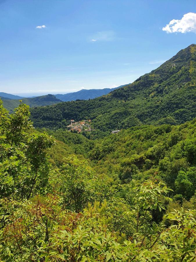 Il Bosco Di Campo Marzano Studios Borzonasca Luaran gambar