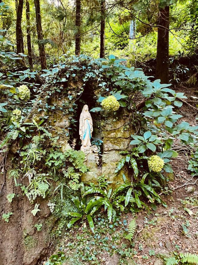 Il Bosco Di Campo Marzano Studios Borzonasca Luaran gambar