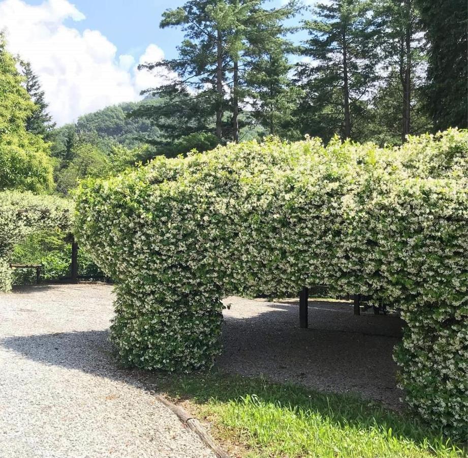 Il Bosco Di Campo Marzano Studios Borzonasca Luaran gambar