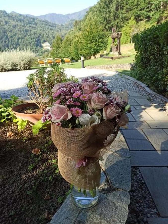 Il Bosco Di Campo Marzano Studios Borzonasca Luaran gambar