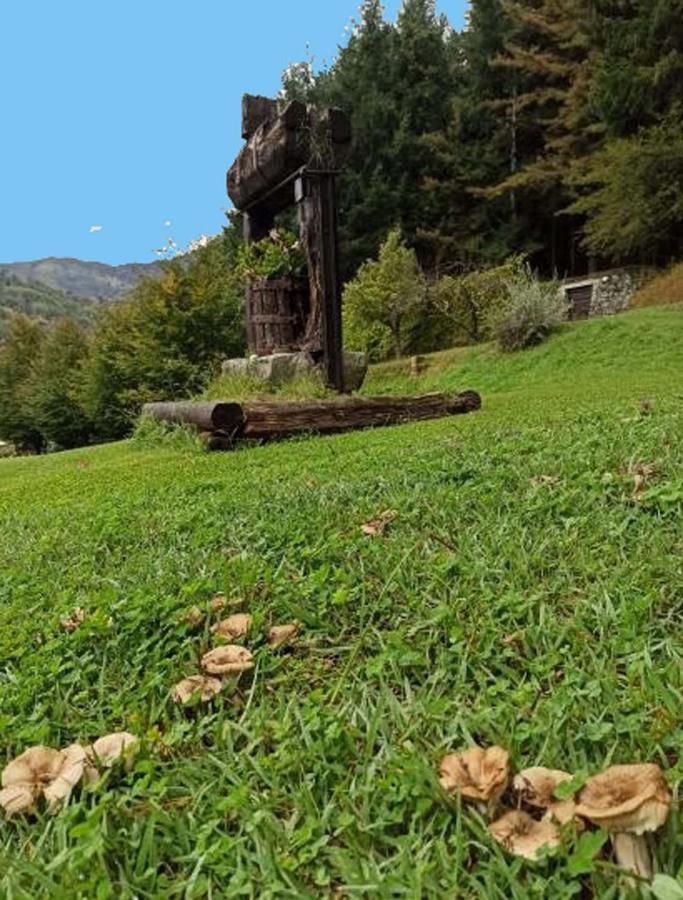 Il Bosco Di Campo Marzano Studios Borzonasca Luaran gambar