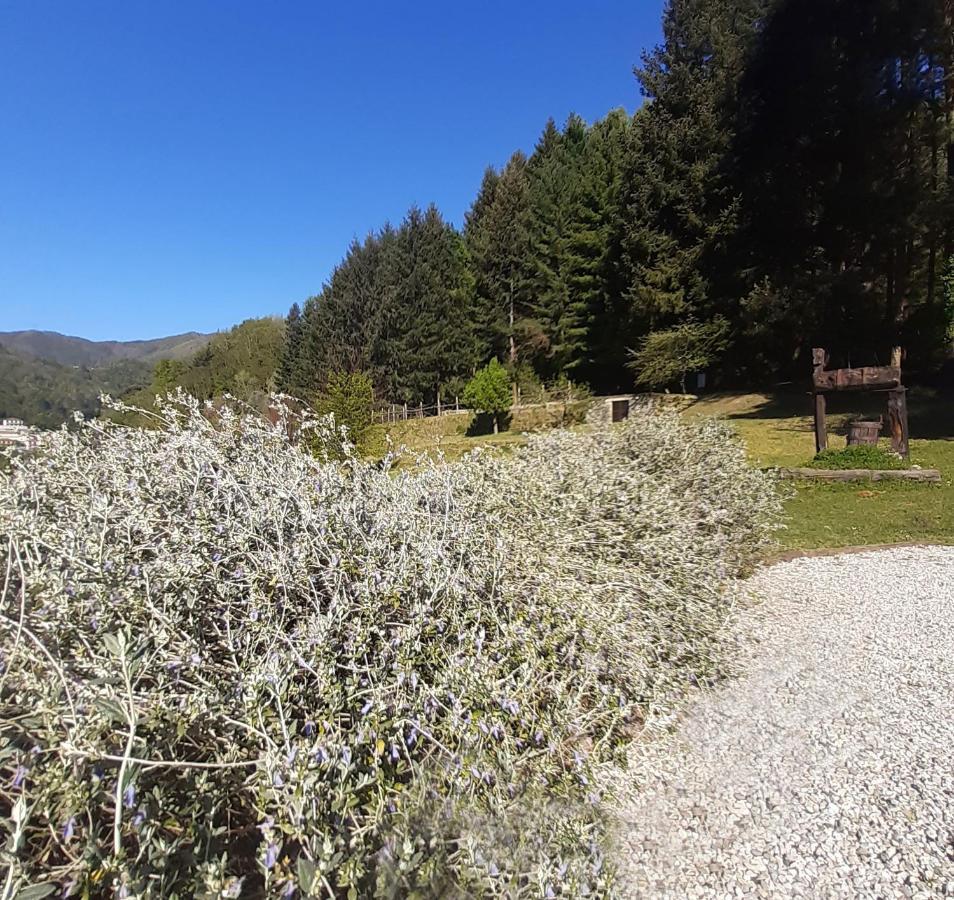 Il Bosco Di Campo Marzano Studios Borzonasca Luaran gambar