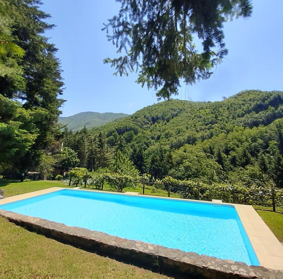 Il Bosco Di Campo Marzano Studios Borzonasca Luaran gambar
