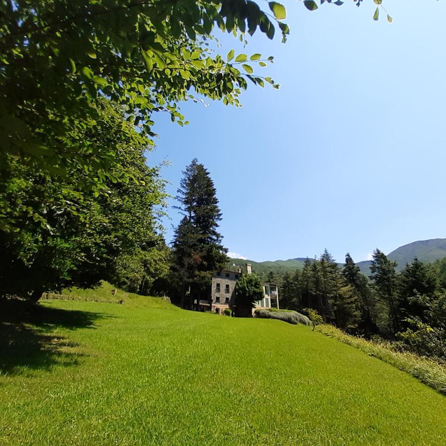 Il Bosco Di Campo Marzano Studios Borzonasca Luaran gambar