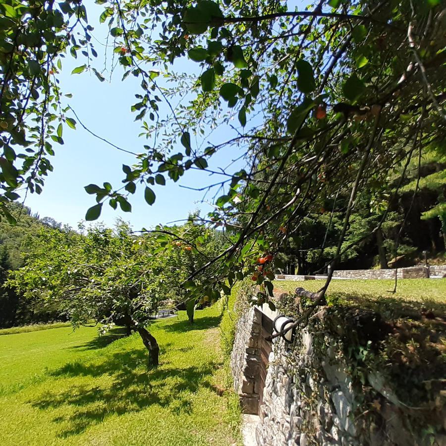 Il Bosco Di Campo Marzano Studios Borzonasca Luaran gambar