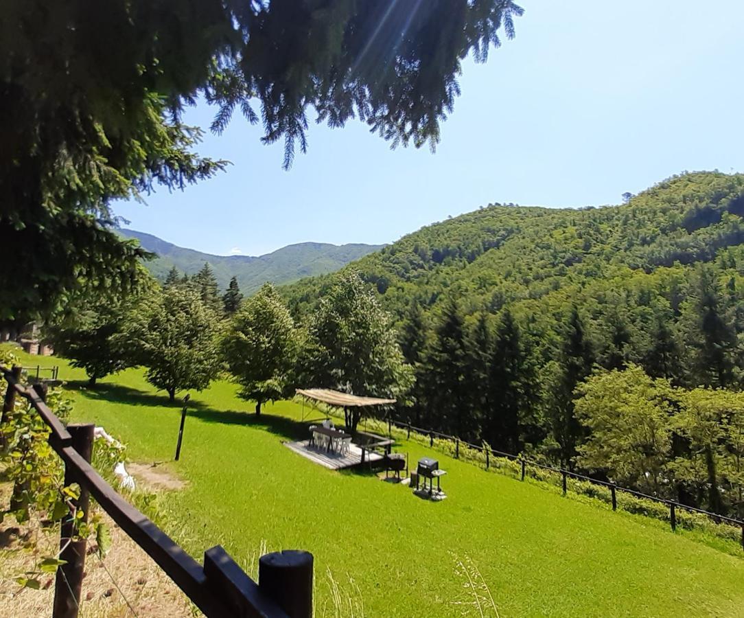 Il Bosco Di Campo Marzano Studios Borzonasca Luaran gambar